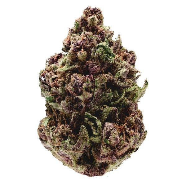 Pink Magic Fast Version (Growers Choice) feminizovaná