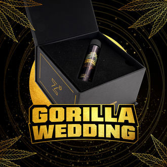 Gorilla Wedding (BSF Seeds x Zamnesia Seeds) feminizovaná