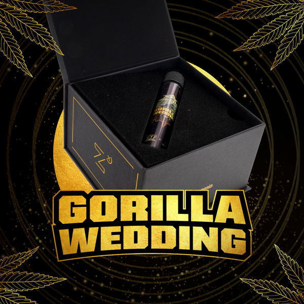 Gorilla Wedding (BSF Seeds x Zamnesia Seeds) feminizovaná