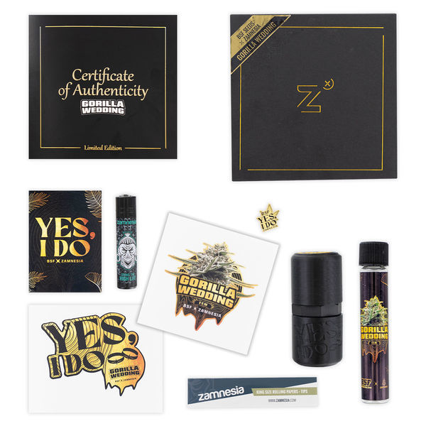 Gorilla Wedding (BSF Seeds x Zamnesia Seeds) feminizovaná