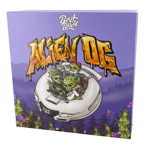 Křišťálový popelník (Best Buds)