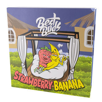 Křišťálový popelník (Best Buds)