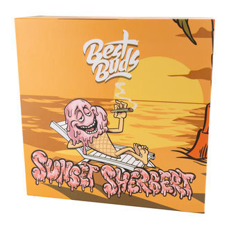 Křišťálový popelník (Best Buds)