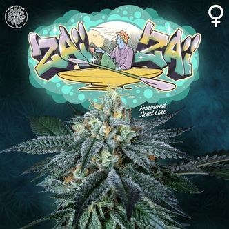 Za&iuml; Za&iuml; (Perfect Tree) feminizovan&aacute;