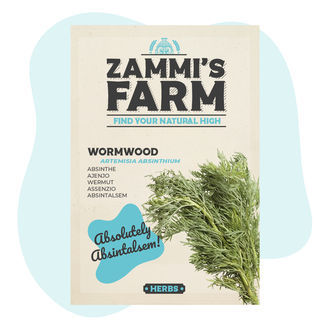 Pelyněk pravý (Artemisia absinthium) – semena