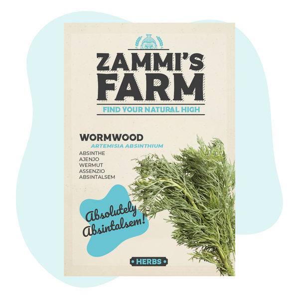 Pelyněk pravý (Artemisia absinthium) – semena