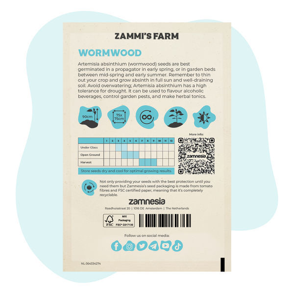 Pelyněk pravý (Artemisia absinthium) – semena