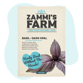 Bazalka 'Dark Opal' (Ocimum basilicum) – semena