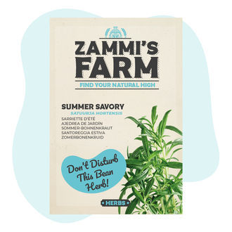 Saturejka zahradní (Satureja hortensis)