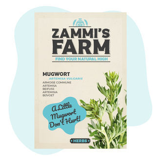 Semena pelyňku černobýlu (Artemisia vulgaris)