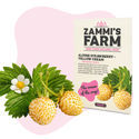 Alpská jahoda – Yellow Cream (Fragaria vesca) semena