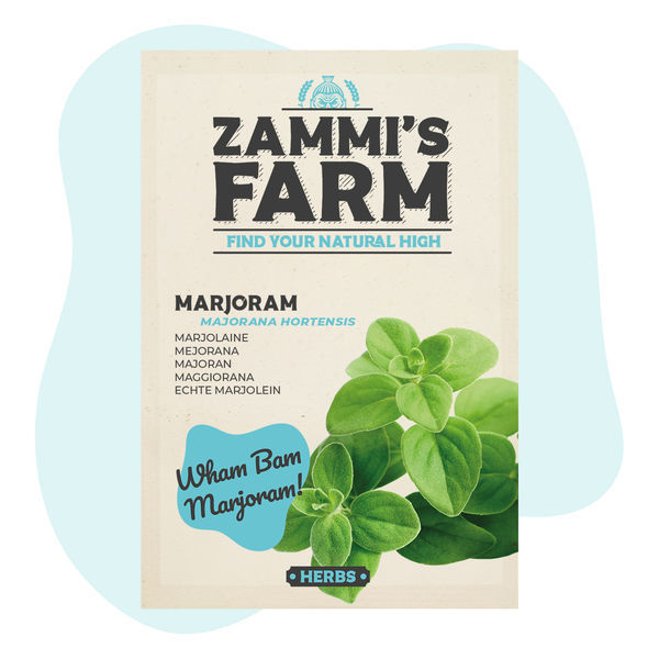 Semena majoránky (Majorana hortensis)