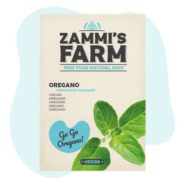 Semena oregana (Origanum vulgare)