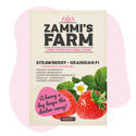 Grandian Strawberry F1 (Fragaria x ananassa) – semena