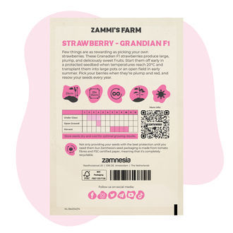 Grandian Strawberry F1 (Fragaria x ananassa) – semena