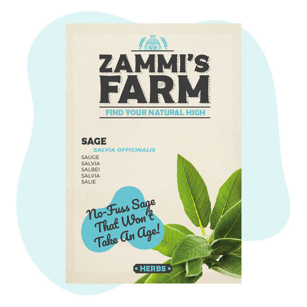 Semena šalvěje lékařské (Salvia officinalis)