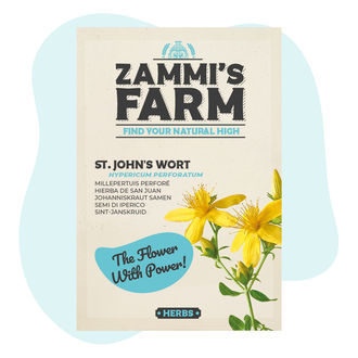 Semena třezalky tečkované (Hypericum perforatum)