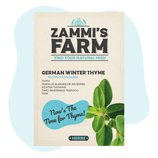 Semena tymiánu německého zimního (Thymus vulgaris)