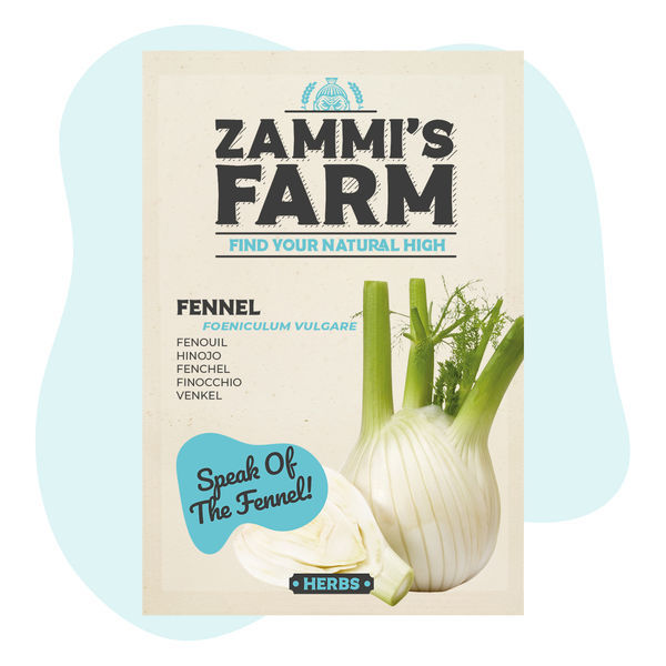 Fenykl 'Fino' (Foeniculum vulgare) – semena