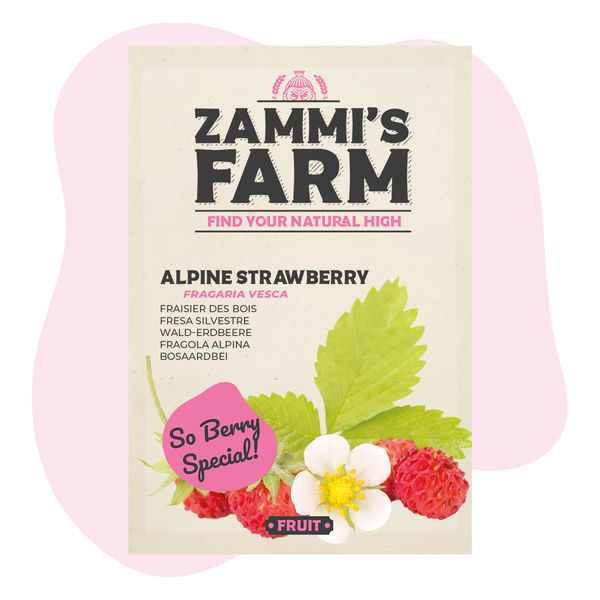 Semena alpské jahody (Fragaria vesca)