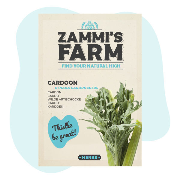 Karduán (Cynara cardunculus) – semena