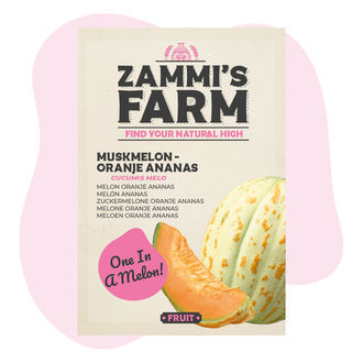 Semena melounu cukrového 'Oranje Ananas' (Cucumis melo)