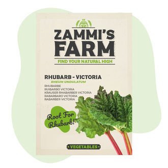 Semena rebarbory Victoria (Rheum undulatum)