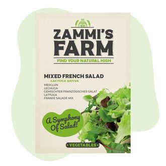 Směs francouzských salátů (Lactuca sativa) – semena