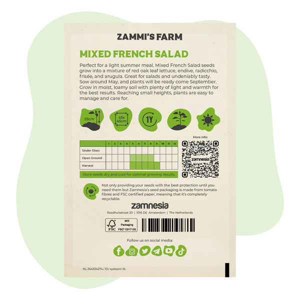 Směs francouzských salátů (Lactuca sativa) – semena