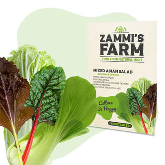 Směs semen asijsk&yacute;ch listov&yacute;ch zelenin