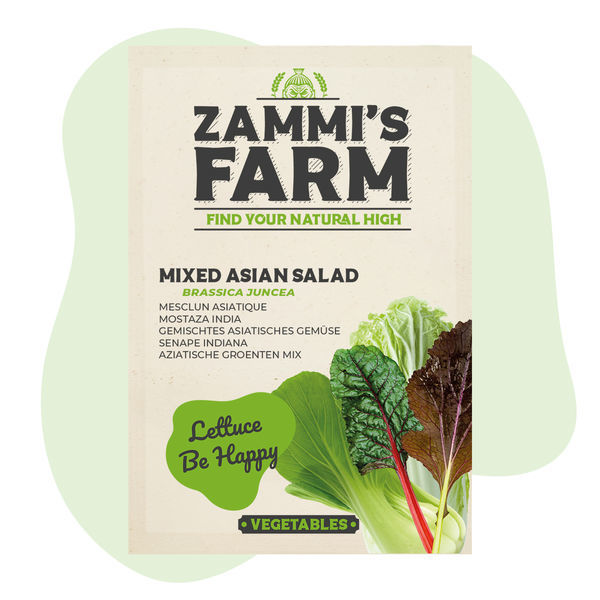 Směs semen asijských listových zelenin