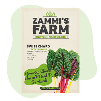 Semena mangoldu červeného (Beta vulgaris)