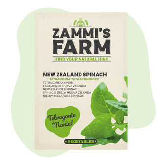 Špenát novozélandský (Tetragonia tetragonoides) – semena