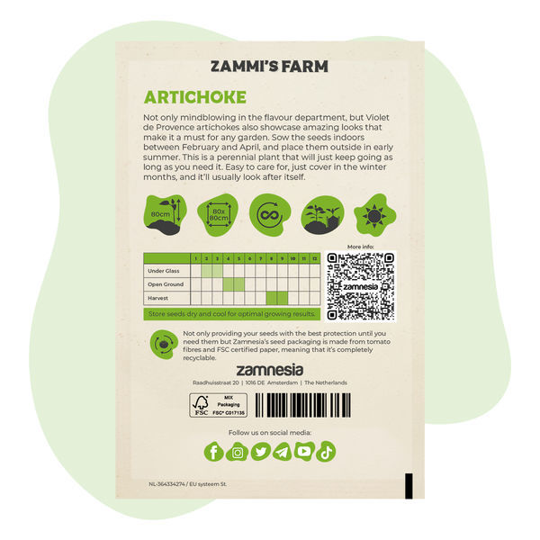 Artyčok 'Violet de Provence' (Cynara scolymus) – semena
