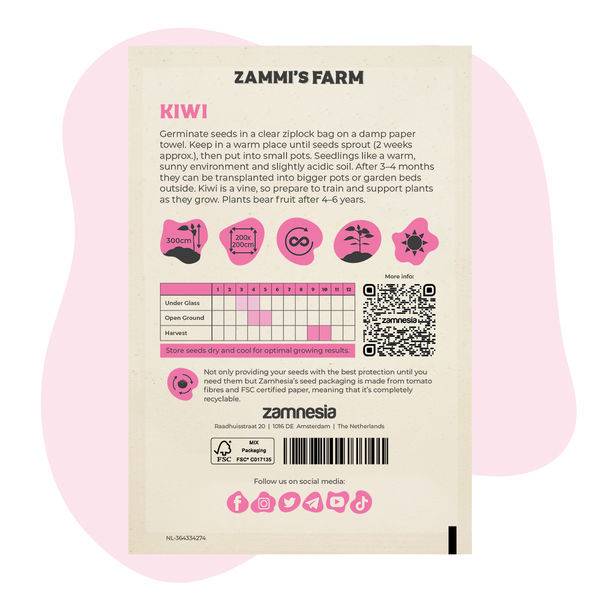 Semena kiwi (Actinidia deliciosa)