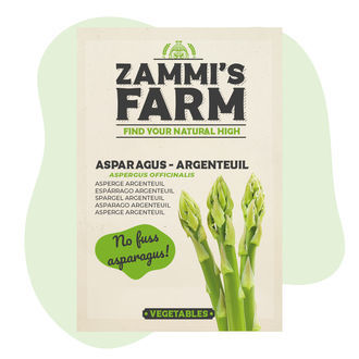 Chřest 'Argenteuil' (Asparagus officinalis) – semena
