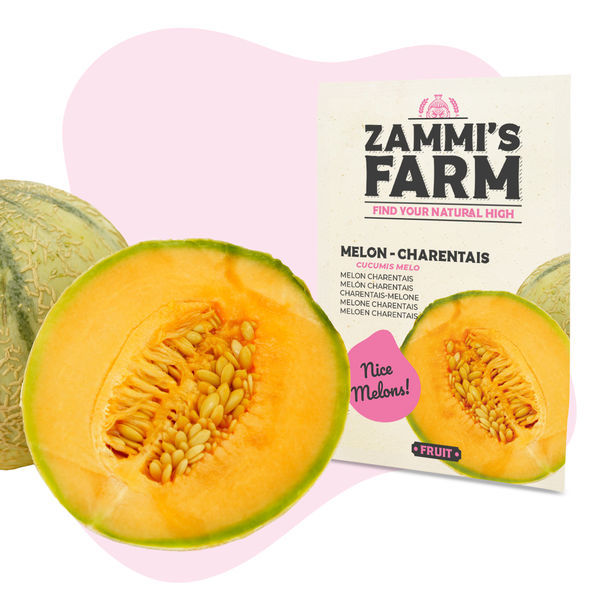 Meloun 'Charentais' (Cucumis melo) semena