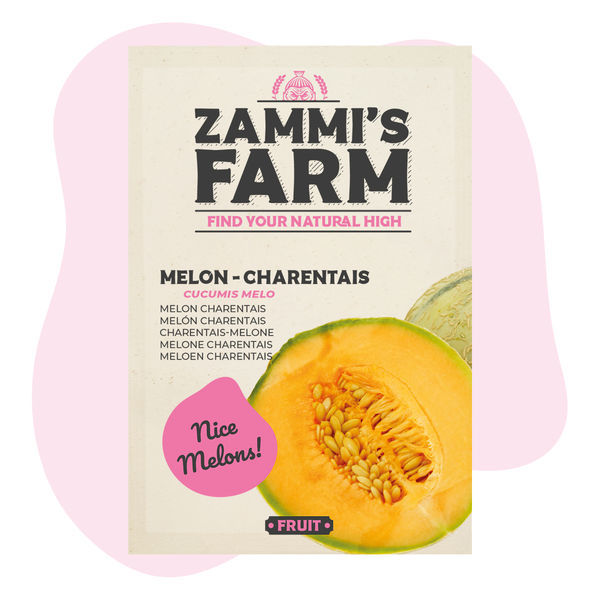 Meloun 'Charentais' (Cucumis melo) semena