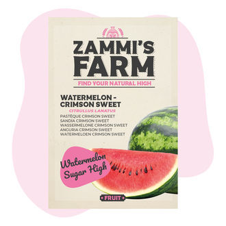 Vodní meloun 'Crimson Sweet' (Citrullus lanatus) – semena