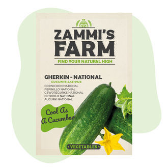 Semena okurky nakládačky „National“ (Cucumis sativus)