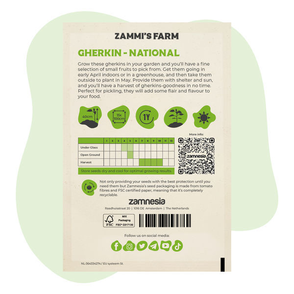 Semena okurky nakládačky „National“ (Cucumis sativus)