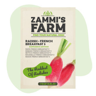 Ředkvička 'French Breakfast 3' (Raphanus sativus) – semena