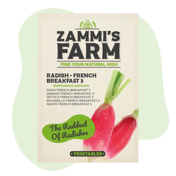 Ředkvička 'French Breakfast 3' (Raphanus sativus) – semena
