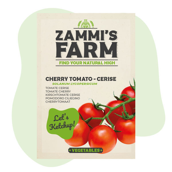 Semena rajčete cherry – Cerise (Lycopersicon esculentum)