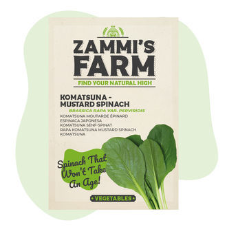 Komatsuna (Brassica rapa var. perviridis) – semena