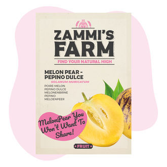 Semena pepina (Solanum muricatum)