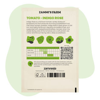 Semena rajčat Indigo Rose (Solanum lycopersicum)
