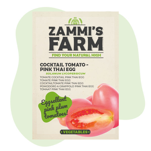 Koktejlové rajče 'Thai Pink Egg' (Solanum lycopersicum) – semena