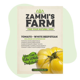 Rajče Great White Beefsteak (Solanum lycopersicum) – semena