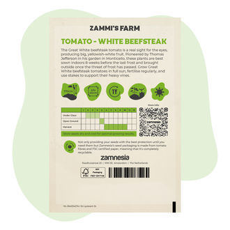 Rajče Great White Beefsteak (Solanum lycopersicum) – semena